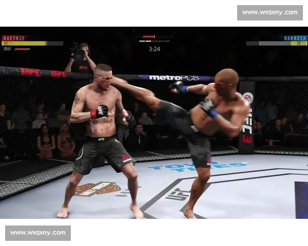 UFC 铁汉巴博萨:逆境中的终极反击 UFC 铁汉巴博萨:逆境中的终极反击